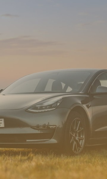 Developing a Sharing Economy Platform for a Car-Sharing Business