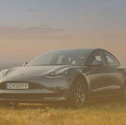 Developing a Sharing Economy Platform for a Car-Sharing Business